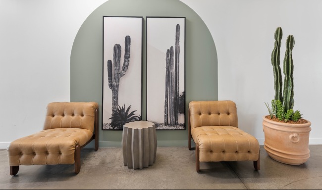 two chairs near plant