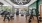 gym with treadmills and weights