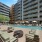 Pool and patio with beach chairs and umbrellas in the shared courtyard at Adara apartments in Downtown Phoenix, AZ. 
