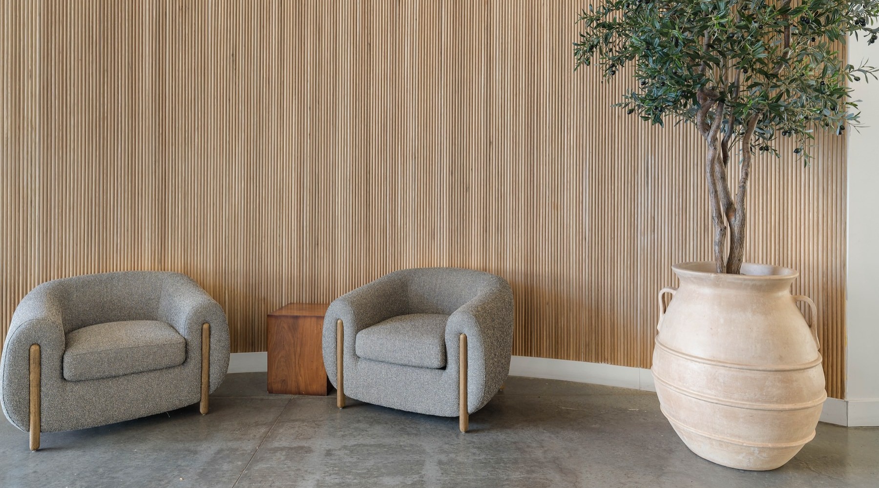 two chairs near a plant