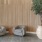 two chairs near plant