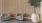 two chairs near plant
